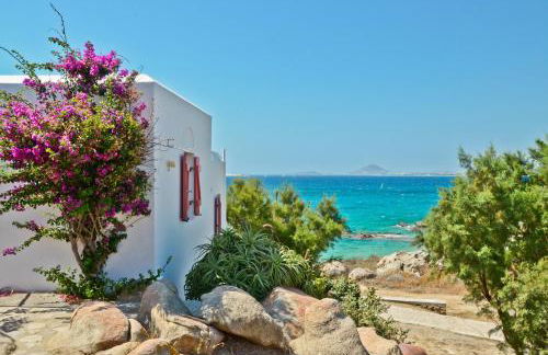 Ydreos Studios & Apartments - Foto 64