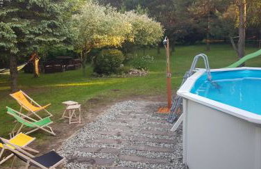 Szyszka i Róża Domek na Jurze - Foto 24