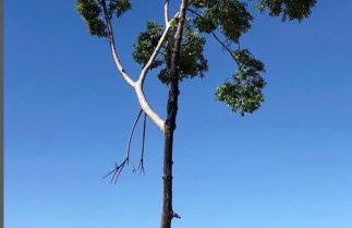 Recanto da Cuieira - Photo 2