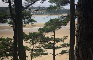 Maison Plestin proche plage et GR 34 avec Jardin - Foto 22