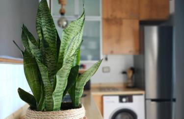 El retiro azul - Foto 22