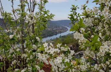 Apartment an der Mosel 1 - Foto 34