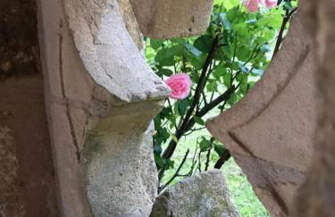 Mas du figuier Occitanie - Maison de maitre - Foto 23