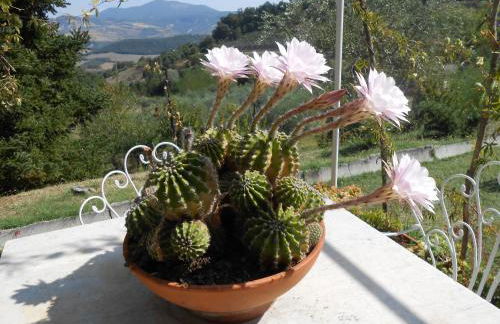 La Casa di Cesarina - Foto 33