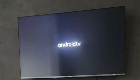 Apartamento PÉ NA AREIA - Foto 5