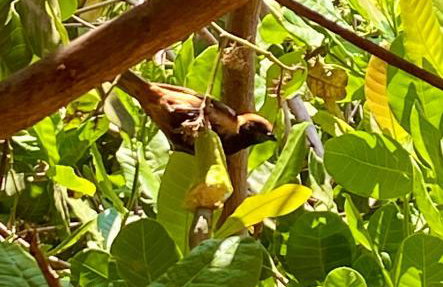 Casa para relaxar em Chapada dos Guimarães - Foto 33