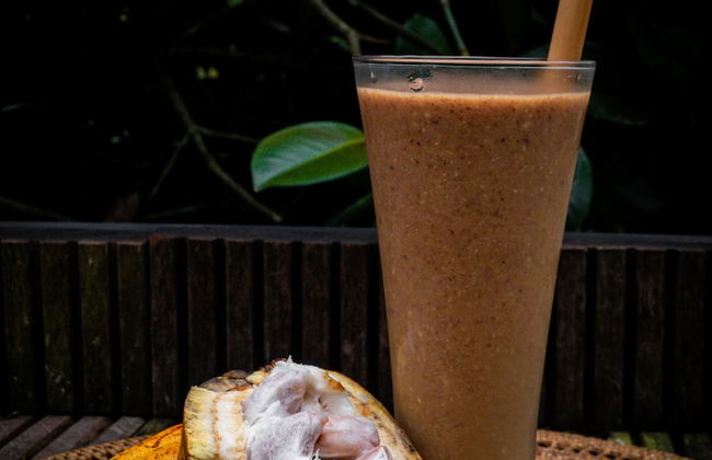 Bali Jungle Camping - Foto 43