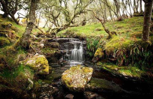 The High Croft - Foto 32