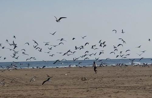 Casa Tété - Foto 24