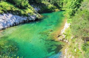 Los Paxarinos - Foto 36