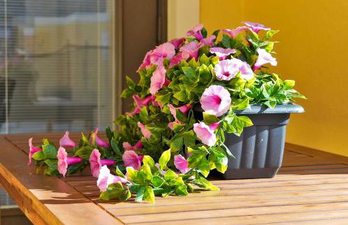 Trendy Retreat - Great Location - Fully Loaded - Foto 49