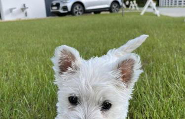 Agroturystyka Nad Lasem - Domki w górach - Foto 10