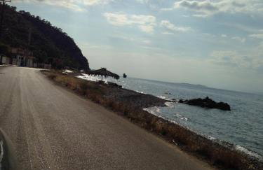 Palm tree house by the beach - Foto 60