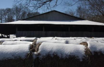 Little River Guest House at Tennessee RiverPlace - Foto 67