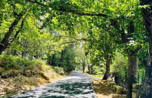 Apartamento Rural Mi Pequeña Lulú TR-CC-00564 - Foto 25