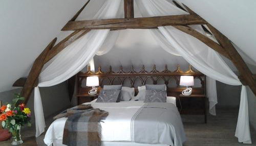 Manoir des Roches 41 - Photo 4