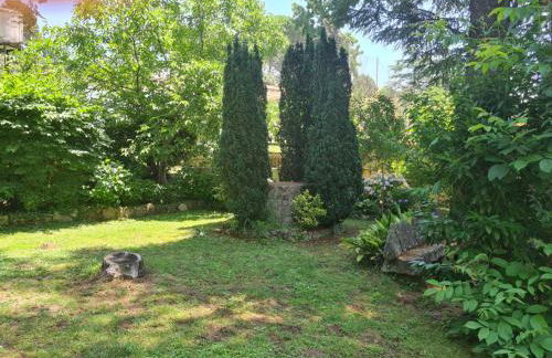 Finca Axarquía de Gredos - Photo 75