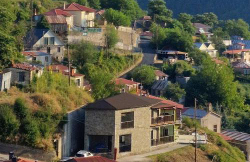 The Black Chestnut - Foto 1