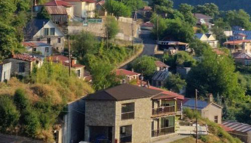 The Black Chestnut - Foto 1