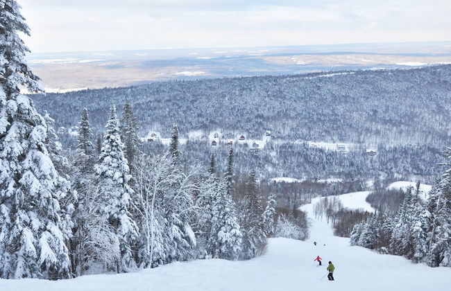 Le Domaine de l'Étang - Photo 19