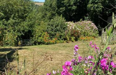 Cornish country house by the coast near Fowey - Foto 20