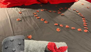 Luxueux appartement avec jacuzzi dans le centre de Macon ,snacking et cadeau - Foto 3