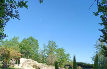 Domaine D'Erras - la bergeronnette - Foto 4