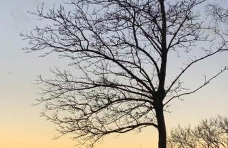 Holiday Home in Klingberg mit Seeblick by Interhome - Foto 30