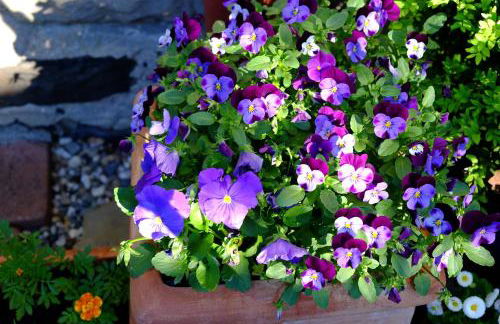 altes forsthaus schotten - Foto 26