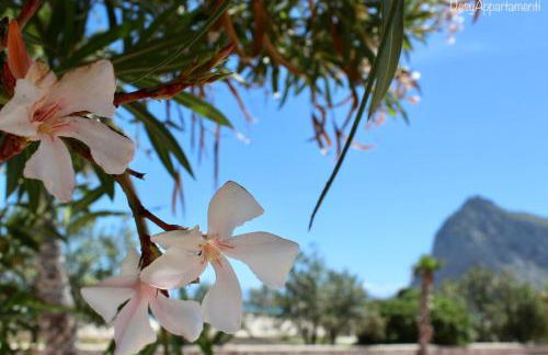 Desy Appartamenti - Foto 34