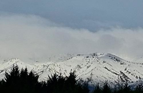 Flor de Pomar - Foto 16