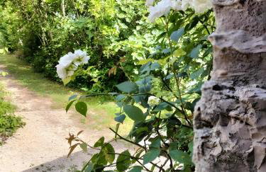 Maison Cosy - Le Soupadou - Foto 23