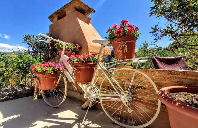 Thymes Traditional House - Foto 27