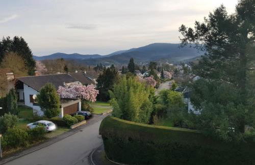 Schusters Murgtalblick - Foto 19