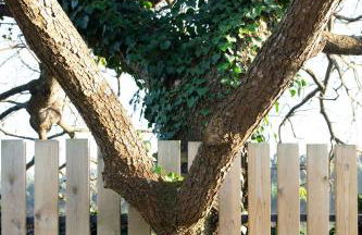 Apartamentos Garden Rock - Foto 56