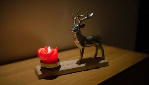 Hirsch-Lounge - Foto 2