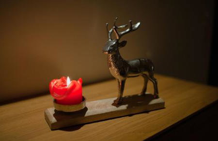 Hirsch-Lounge - Foto 2