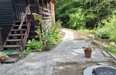 Duży drewniany domek nad rzeką, Obidza 381, Łącko - Foto 3