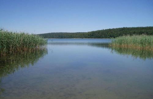 Peter Lassau Modern Retreat - Foto 72