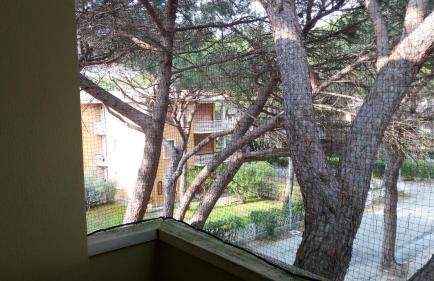 Stella Marina - Foto 9