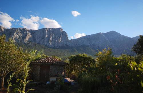 Pinnettu sardo tipica abitazione sarda in ecosistema insetti e animaletti simpatici in condivisione bagno esterno a 10metri Leggere attentamente Prima di prenotare - Foto 73