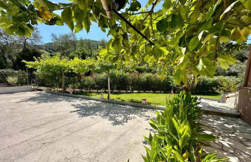 PargaLand Studios & Apartments - Photo 52