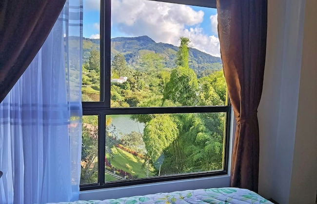 Descanso bajo la Piedra - Photo 1