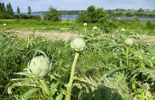 Holiday Home in Guerlesquin near Lake - Foto 22