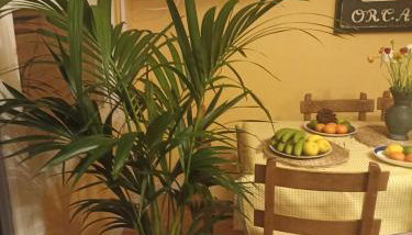 apartamento céntrico zona Marques de comillas 8 - Foto 5