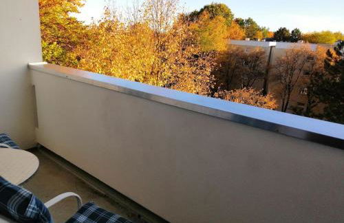 Fasanenpark - Foto 10