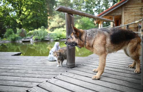 Leśny Zakątek balia kąpielowa ognisko sauna basen rowery w cenie pobytu Realizujemy Podlaski bon turystyczny - Foto 8