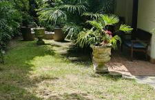 VillaLuigia - Oasi le Palme - Photo 9