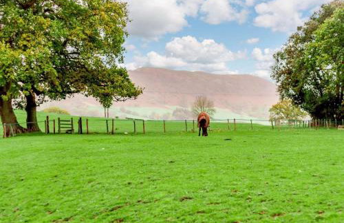 2 Bed in Abergavenny oc-90235 - Photo 22