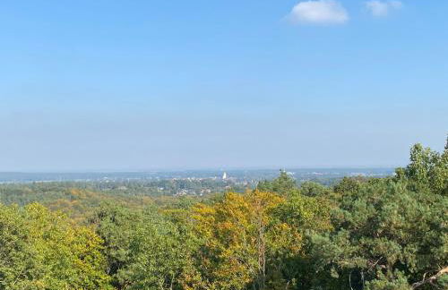 Waldhaus Eichhörnchen - Foto 51